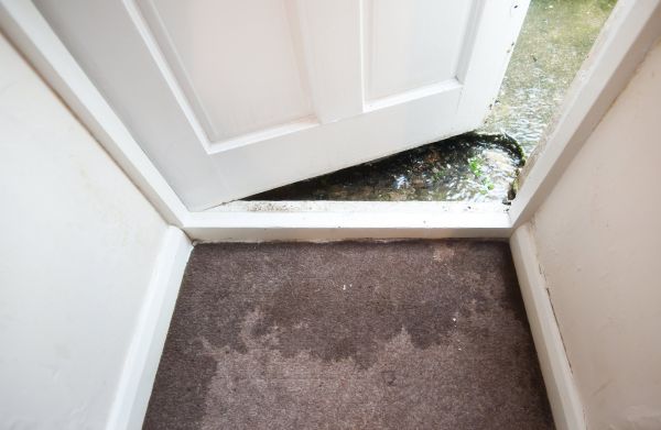Wet Carpet Restoration in Hagerstown