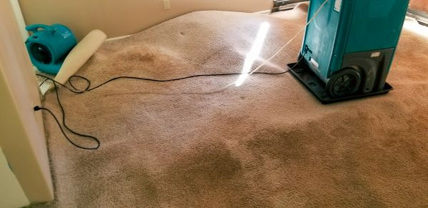 Flood Damage Cleanup in Hagerstown