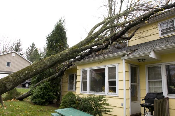 Hurricane Damage Repair in Hagerstown